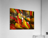 427 Acrylic Print