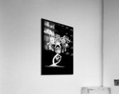 499 Acrylic Print