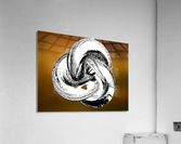 502 Acrylic Print