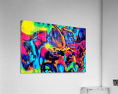 515 Acrylic Print