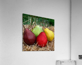 518 Acrylic Print