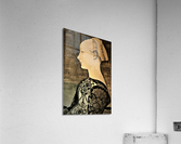 554 Acrylic Print