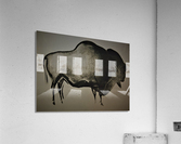 557 Acrylic Print