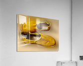 566 Acrylic Print