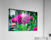 577 Acrylic Print