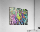 585 Acrylic Print