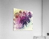 602 Acrylic Print
