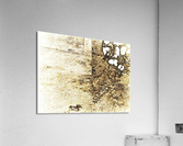 608 Acrylic Print