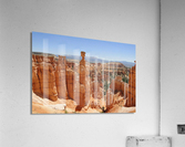 634 Acrylic Print