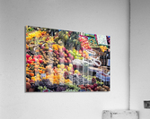 635 Acrylic Print