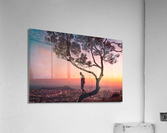 641 Acrylic Print