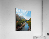642 Acrylic Print