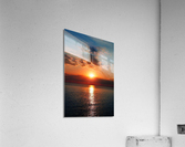 643 Acrylic Print