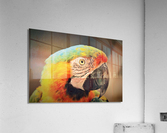 678 Acrylic Print