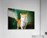 680 Acrylic Print