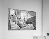 728 Acrylic Print