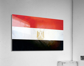 755 Acrylic Print