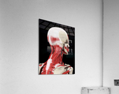 766 Acrylic Print