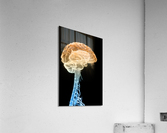 773 Acrylic Print