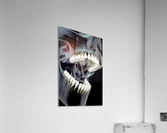 782 Acrylic Print
