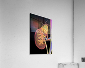 783 Acrylic Print