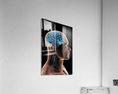 785 Acrylic Print