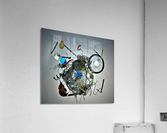 795 Acrylic Print