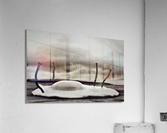 837 Acrylic Print