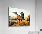 857 Acrylic Print