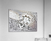 864 Acrylic Print