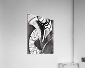866 Acrylic Print