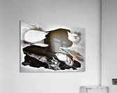 952 Acrylic Print