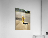 976 Acrylic Print