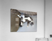 986 Acrylic Print