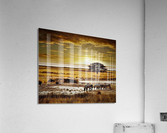 1021 Acrylic Print