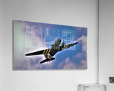 1043 Acrylic Print