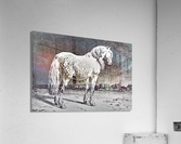 1054 Acrylic Print