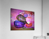 1115 Acrylic Print