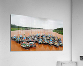 1148 Acrylic Print