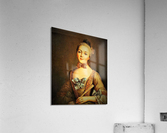 1162 Acrylic Print