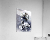 1187 Acrylic Print