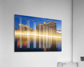 1201 Acrylic Print