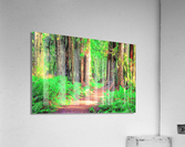 1259 Acrylic Print