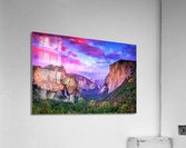 1262 Acrylic Print