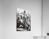 1265 Acrylic Print