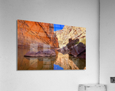 1291 Acrylic Print