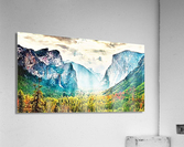 1303 Acrylic Print