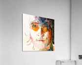 1328 Acrylic Print