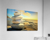 1346 Acrylic Print
