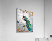 1354 Acrylic Print